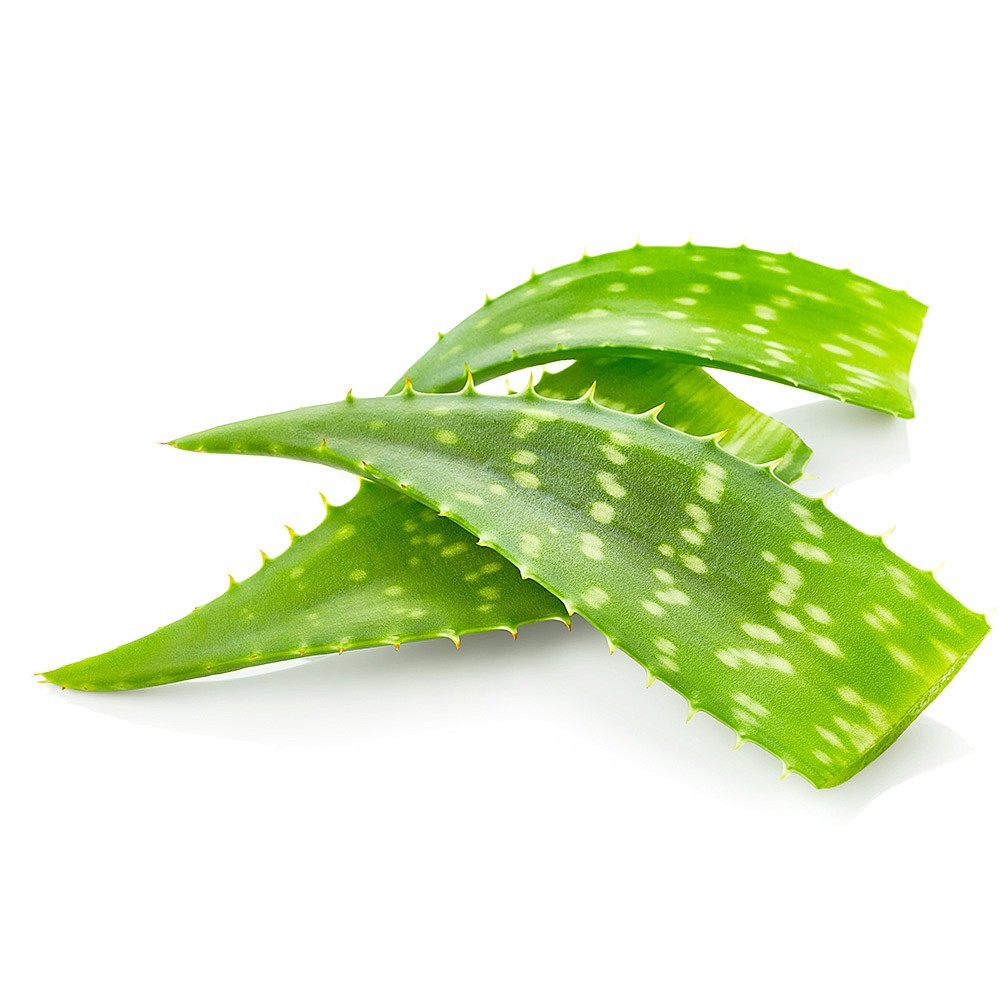 ALOE VERA GEL/DICE ALOE VERA/VIETNAM ALOE VERA - Natural & Pure