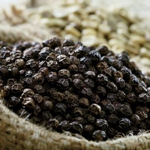 Pimienta Negra de Vietnam en Oferta, Nueva Cosecha 500GL 550GL FAQ, Pimienta Entera Seca, Suministro de Fábrica, Exportación a Granel, Venta al Por Mayor - Product Image 1