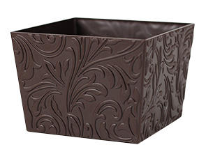 สีน้ำตาล