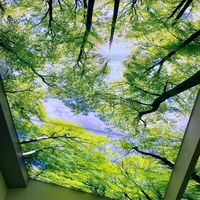 2025 Foxygen Marque Décoratif Intérieur Plafond Tendu Desgin Lambris PVC Plafond Tendu Arbre et Fleur Design pour Salon