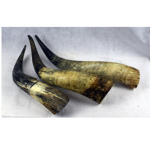 Natural Decorative Horn <b>Christmas</b> and Holiday <b>Decoration</b> & Gift with and Horn Stand with Hot <b>Sale</b> with Hot <b>Sale</b> - Product Image 5