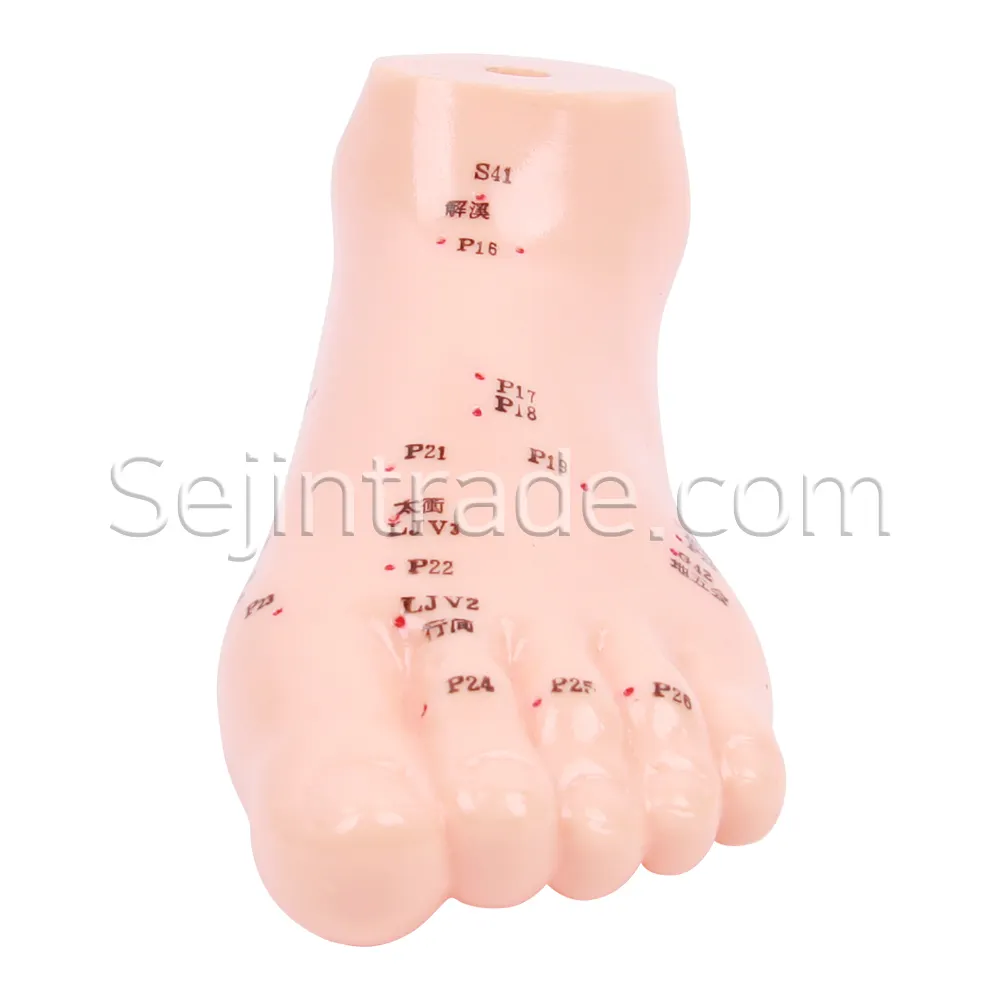 Acupuncture Needle Hospitals Anatomical Human Model Rubber Foot Model Medicine Model Sale Massage Clinic Moxa Chinese 15cm*7cm