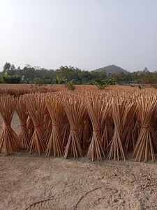 Escoba de Madera Cruda con Cabeza de PVC por Menos de 1 Dólar / Materia Prima para la Fabricación de Palos de Escoba de Madera para Limpieza - Product Image 5