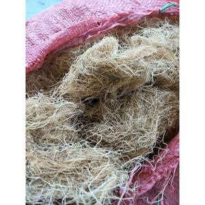 Vietnam Wholesale <b>Seaweed</b> Product and Bag Packaging Dried Gracilaria Verrucosa for Export - Product Image 6