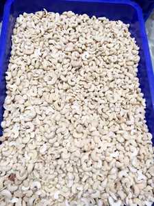 Precio competitivo y anacardos de alta calidad ww240/320/450 Precio competitivo de Vietnam Ms Ruby + 84 359318390 - Product Image 6