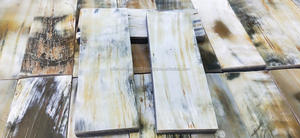 Plaques de corne de vache/bœuf blanches de qualité d'exportation, origine Afrique - Product Image 5