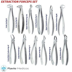 Pinces d'extraction dentaire, ensemble de 10 pièces, modèle anglais, instruments en acier inoxydable - Product Image 4