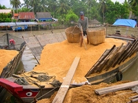 2020 Venta caliente nueva alta calidad precio competitivo arroz cáscara briqueta carbón largo tiempo de combustión amigable MUESTRA GRATIS Vietnam