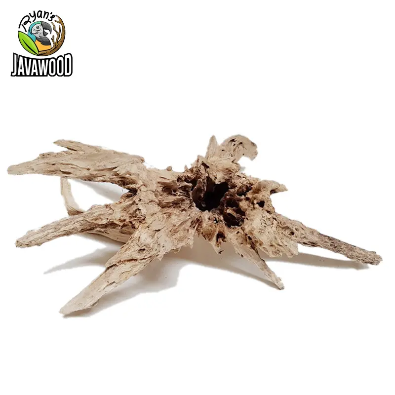 Factory Best Selling Natuurlijke Woods Aquarium Decoratieve Drijfhout Aquarium Woondecoratie Van Centrale Java Indonesië