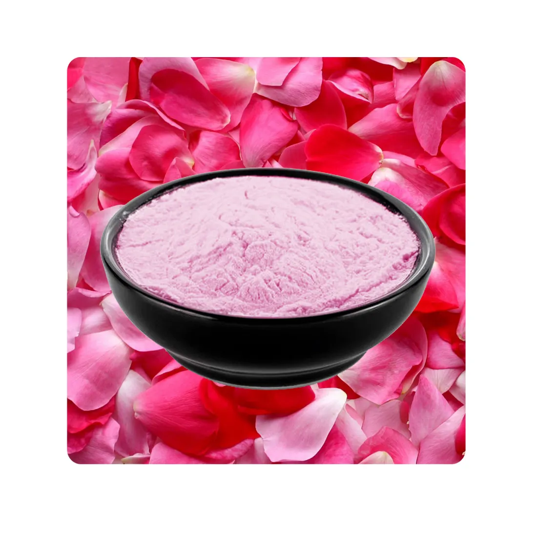 Pure and Organic Rose Petals Powder for Daily Skin and hair care finest quality chemical free Bulk manufacturer