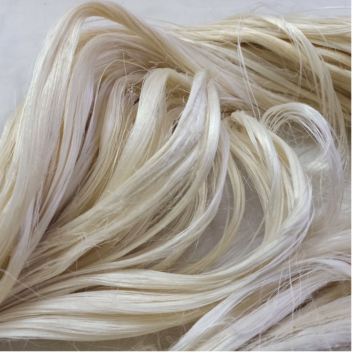 Fiber de Sisal naturelle en 1 gr, fabrication d'extensions capillaires décolorée