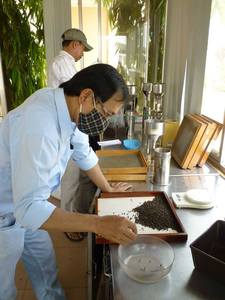 [FOR EXPORT] - VIETNAM ORIGIN BLACK PEPPER WHOLE 500GL 550GL 570GL 5MM - Product Image 6
