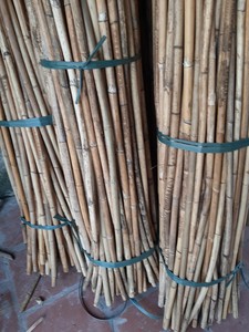วัสดุหวายดิบ / หวายสำหรับนำเข้า - Product Image 4