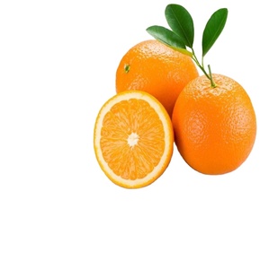 Naranja Mandarina Orgánica <span class=keywords><strong>de</strong></span> Primera Calidad, Variedad Navel, Cítrico Fresco con Sabor Dulce, Marca SA, 3 Años <span class=keywords><strong>de</strong></span> Duración - Product Image 4