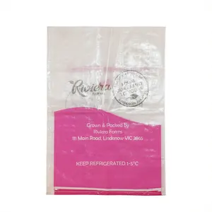 25kg 50 kg 5kg recyclable new material pp woven sugar wheat flour sack fabric bag with custom design
