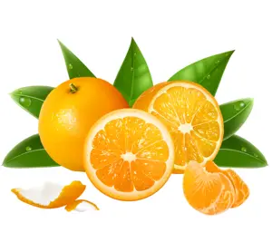 Jeruk CITRUS Segar Kualitas SUPER dengan Harga Yang Cocok dari Mesir