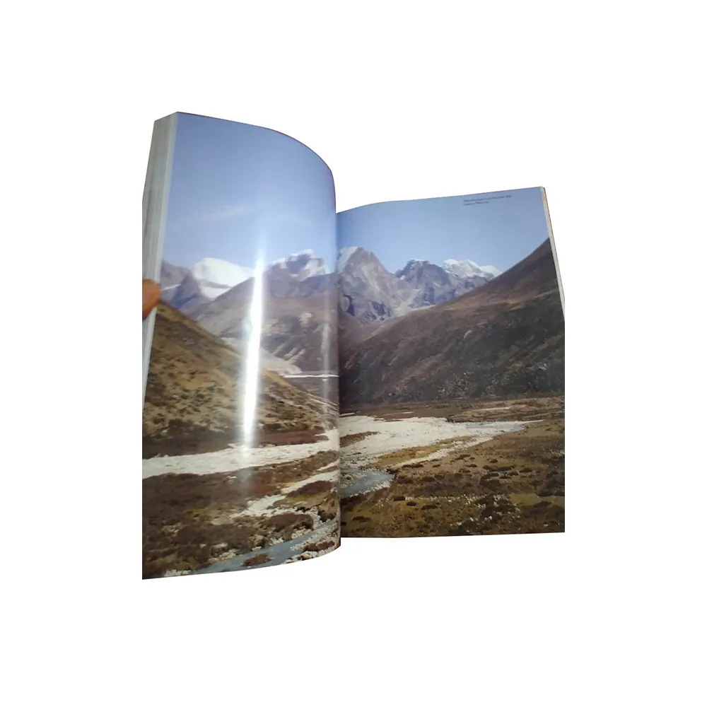 Bulk Supplier Best Quality Soft Cover Notebook Printing Available At competitive Price