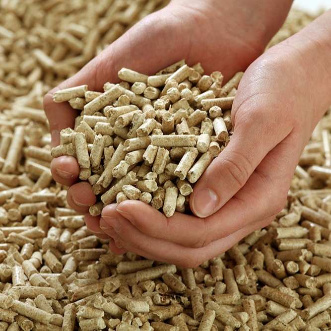 Vietnam holz pellet 4500kcal/kg mit TOP qualität