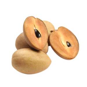 sapodilla