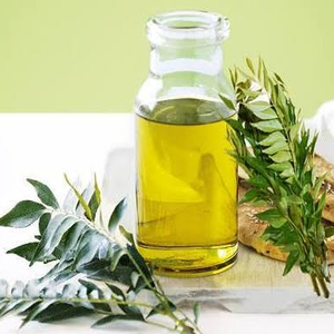 AARNAV GLOBAL EXPORTS Aceite Esencial de Hoja de Curry 100% Puro, Extracto de Cáscara - Blanqueador, Nutritivo, Hidratante, Reafirmante, Certificado por GMP - Product Image 2