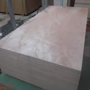 Commercial plywood Commercial plywood Eucalyptus core Okoume face veneer