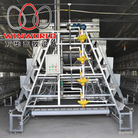 A Type Pullets Chicken Battery Cage Newly Designed Chicken Breeding Equipment Algeria Farm Battery Cage