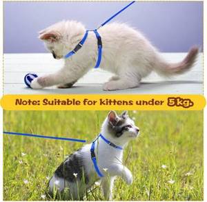 Collar de cuero duradero ajustable para gato y mascota, con juego de correa, venta al por mayor - Product Image 2