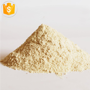 Uienpoeder OEM Groothandel 250g Gedroogde Rode Uienpoeder - Product Image 3