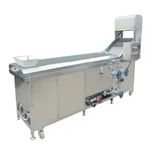 Otomatik elektrikli sebze haşlama makinesi ile satılık yüksek kapasiteli 1500 kg/saat sebze makinesi