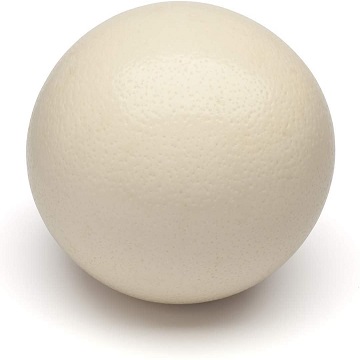 Яйца страуса лучшего качества