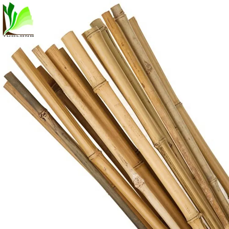 Gele Natuurlijke Bamboe Landbouw Stokken/Palen/Staak/Stok