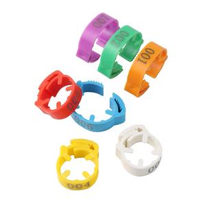 NO, Anillo <span class=keywords><strong>de</strong></span> plástico con hebilla <span class=keywords><strong>para</strong></span> patas <span class=keywords><strong>de</strong></span> <span class=keywords><strong>pollo</strong></span>, accesorio ajustable <span class=keywords><strong>para</strong></span> patas <span class=keywords><strong>de</strong></span> ganso y pato, 001-100 - Product Image 3