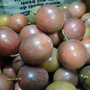 เสาวรสน้ำผลไม้เข้มข้น/ราคาที่ดีที่สุด - Product Image 3