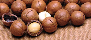 Nueces de Macadamia Vietnamitas de Alta Calidad, Crudas y Secas para Exportación - Product Image 2