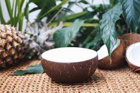 Bol à noix de coco/éco bol à noix de coco du Viet Nam - Product Image 5