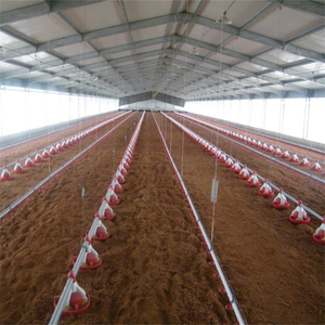 Maison de poulet pré-assemblée, structure en acier, avec <span class=keywords><strong>ventilateur</strong></span> au plafond, chauffage - Product Image 1