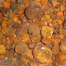 Vejiga de Buey 100% Natural de Alta Calidad, Certificación ISO, 2 Años de Vida Útil, Origen Ganadero - Product Image 2