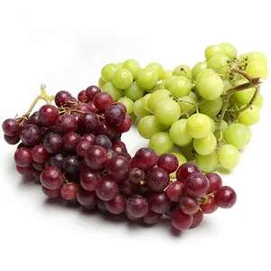 Frutas frescas nova colheita Uvas Verdes Frescas/Uva Fresca para Exportação/Uva Fresca Muscat Sem Sementeiras Para Venda