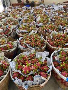 FRUITS DU DRAGON SÉCHÉS FROID FD, AD à VENDRE FRUITS SÉCHÉS - Product Image 4