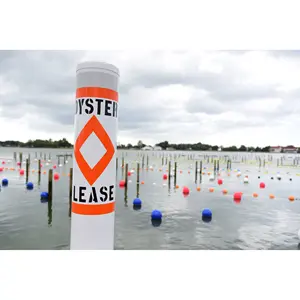 Oyster Lease Marker