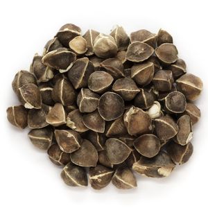 Fournisseur d'huile de transporteur morinja de haute qualité en inde - Product Image 5