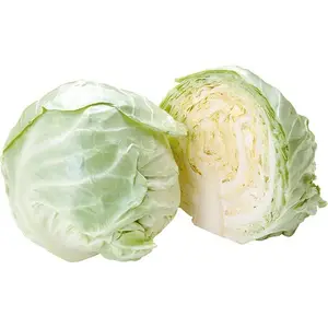 PICKLED CABBAGE/Dehydrated Cabbage/ Holiday +84-845-639-639