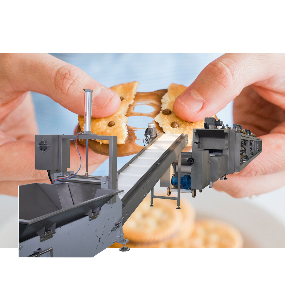 Dunkable biscuit bakery machine nugget galletas machine de production forming production line roll sheeting machine