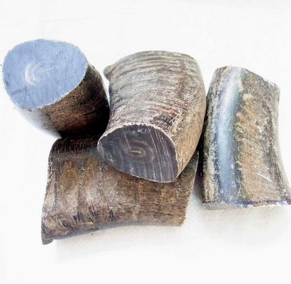 แตรธรรมชาติ