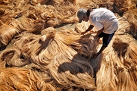 PRODUITS DE FABRICATION EN FIBRE DE BANANE DE HAUTE QUALITÉ (PITA +84 797987481)