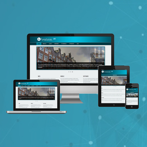 Professional Open Source Customization Website <b>Development</b> Company | Award Winning Open Source Customization Services by Webroot - Product Image 1
