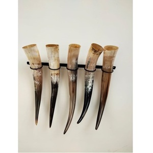 Meilleure qualité corne décorative hôtel et bureau à domicile décoration meilleur design corne d'animal produits Offre Spéciale - Product Image 3