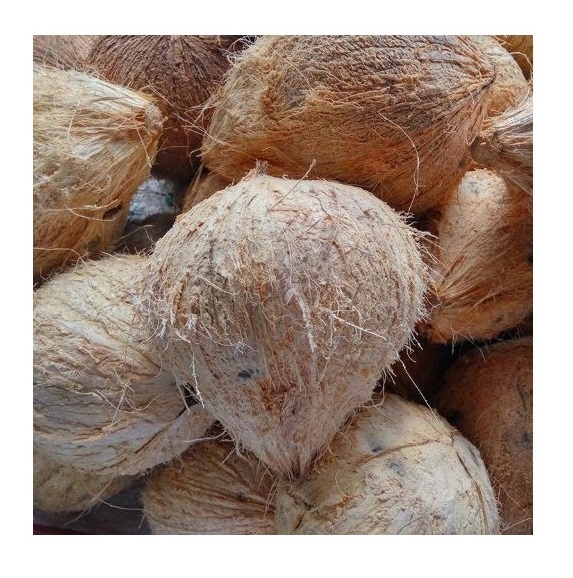 Semi husked coconuts for export premium quality best price dried de-husk mature coconut from Vietnam