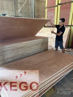 Feuille de contreplaqué commerciale en osier et bois, 10 pièces, bas prix, 9/12/15/18mm