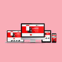 Aplicación de Software de Comercio Electrónico Musical Profesional para América del Norte - Webroot Infosoft de Primera Categoría